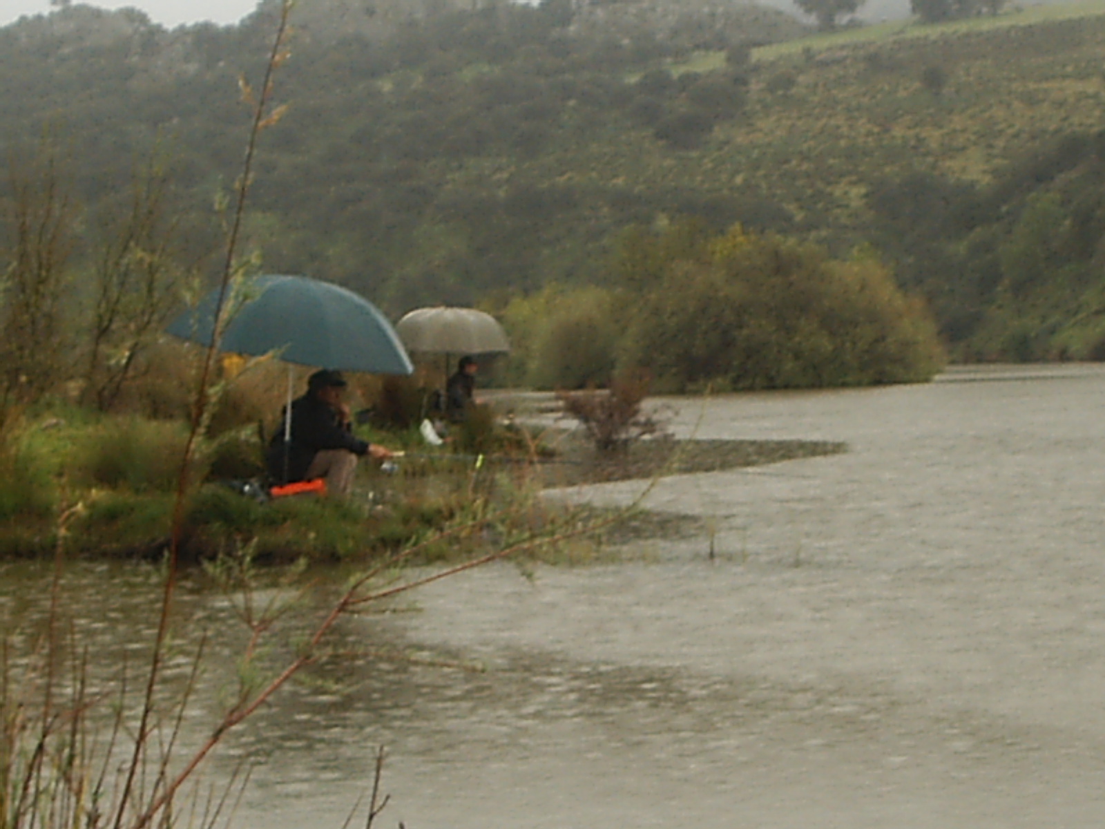 Bonita carpa de La Pizarrilla